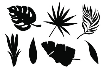 Collection of tropical leaf silhouettes. Vector illustration isolated on white background.