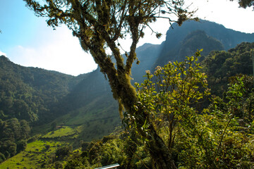 Café De Los Gatos por la vía de Choachí - Bogotá Colombia  subida al paramo un lugar ancestral 