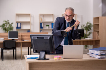 Old businessman employee holding plunger at workplace