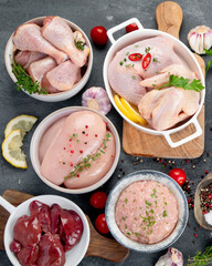 Raw chicken meat parts with spices and herbs for cooking on dark background.