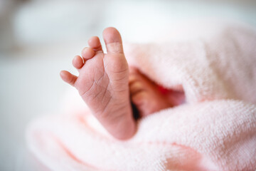 Baby girl's feet cover in a pink towel. Tiny Newborn Baby's feet closeup. Happy child concept. Beautiful conceptual image of Maternity