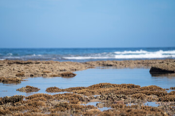 沖縄　玻名城ビーチ