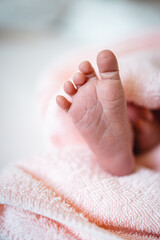 Baby girl's feet cover in a pink towel. Tiny Newborn Baby's feet closeup. Happy child concept. Beautiful conceptual image of Maternity