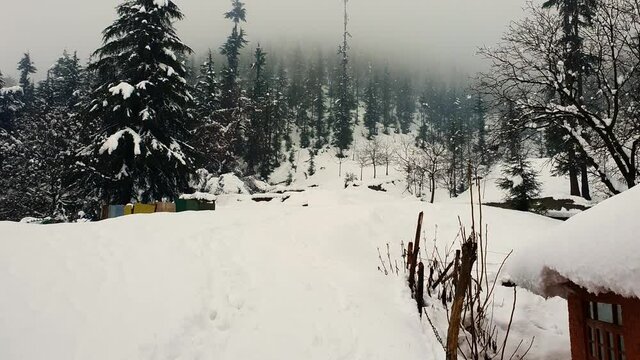 Snow landscape in kashmir, kashmir looks beautiful during white fresh snow. Winter games in Gulmarg sonmarg pahalgam starts, snow cap hills trees roads looks white and cool.