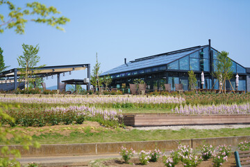 いばらきフラワーパーク