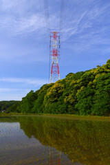 森の中にそびえ立つ赤と白の高圧鉄柱