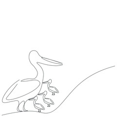 Pelican bird silhouette line drawing vector illustration