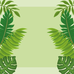 Fototapeta na wymiar tropical vegetation leaves