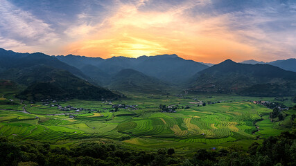 Rice fields on terraced beautiful shape of TU LE Valley, view on the road between Nghia Lo and Mu Cang Chai, Yen Bai province, Vietnam.