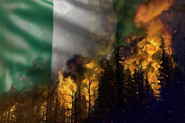 Forest fire fight concept, natural disaster - flaming fire in the woods on Nigeria flag background - 3D illustration of nature
