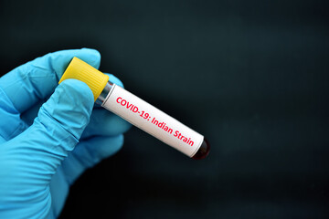 Obraz premium Indian strain COVID-19, blood sample tube positive with Indian strain COVID-19 virus 