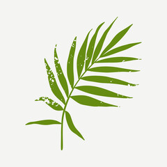Palm leaf. Green silhouette of plant branches with texture. Vector illustration isolated on white background.