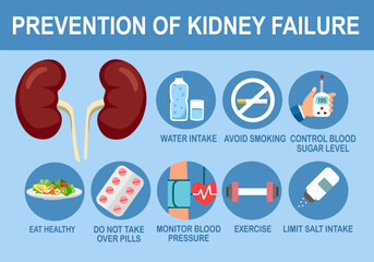 Prevention of kidney failure infographic with useful advices in flat design. Healthcare concept.