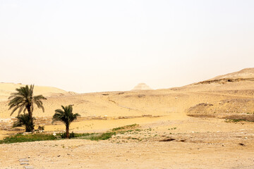 View to desert and pyramid of Djoser