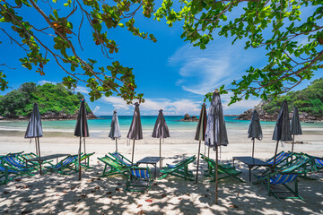 Several deck chairs were set up on the beautiful blue sea beach. Under the canopy of large trees