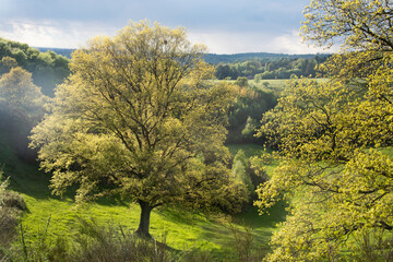 Obraz premium Landscapes and nature in Svanninge hills on south of Funen in Denmark.