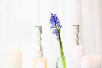 Vase with beautiful hyacinth flower and burning candles on table