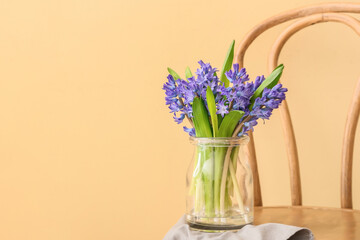 Vase with beautiful hyacinth flowers on chair against color background
