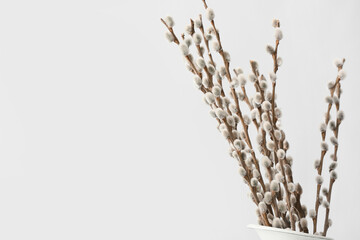 Vase with willow branches on white background - obrazy, fototapety, plakaty