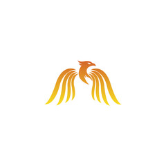 Phoenix Logo flying bird abstract design vector template. eagle eagle soaring eagle concept icon Logotype.