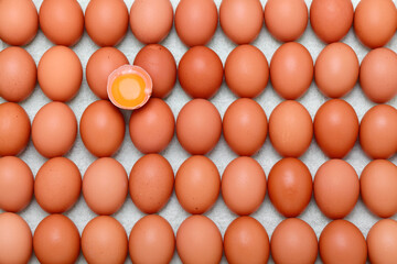 卵、背景として鶏の卵