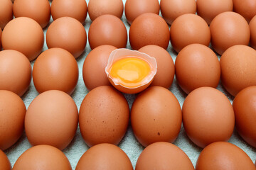 卵、背景として鶏の卵
