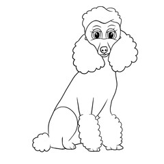 Coloring for children animals Poodle dog 