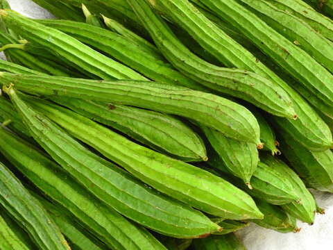 Farm fresh green ridged gourd