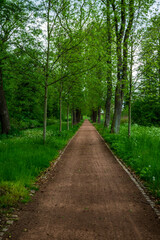 Weg