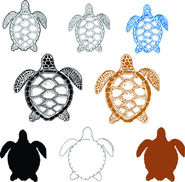 Turtle animals underwater graphic illustration hand drawn print sketch. Big set clipart