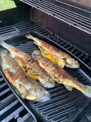 grilled fish on the grill