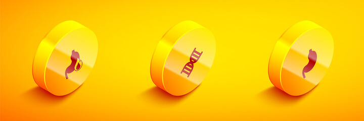 Set Isometric Stomach heartburn, DNA symbol and Human stomach icon. Vector