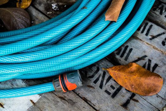 leaves and rope