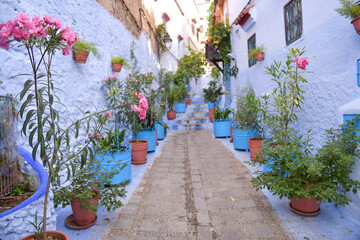 Fototapeta na wymiar Traditional moroccan architectural details in Chefchaouen, Morocco, Africa