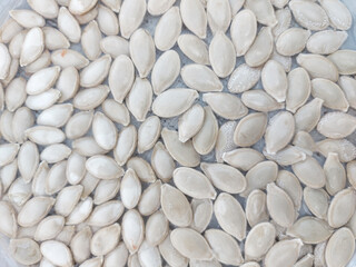 zucchini seeds are prepared for planting. seed soaking. gardening