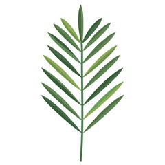 Plant leaf icon