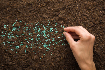 Young adult woman fingers pouring green complex fertiliser granules on dark brown soil. Closeup....