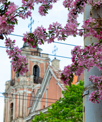 Margutis Easter Egg. A gypsum sculpture. A small square at the crossing. Blooming sakura in the city. Old streets of Vilnius 