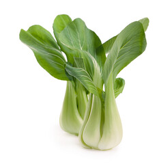 Beautiful Bok choy chinese cabbage or Qing geng cai isolated on white with natural shadows