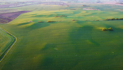 View from a drone to green meadows and fields in summer. Calm and quiet for design background