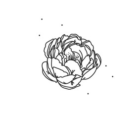 Hand drawn vector abstract stock flat graphic illustration with logo element of line flower art of peony in simple style for branding,isolated on white background.Sacred magic boho feminine concept