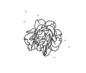 Hand drawn vector abstract stock flat graphic illustration with logo element of line flower art of peony in simple style for branding,isolated on white background.Sacred magic boho feminine concept