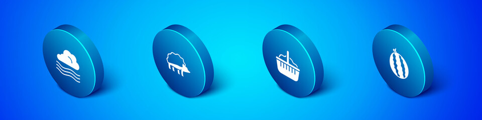 Set Isometric Windy weather, Basket, Watermelon and Hedgehog icon. Vector
