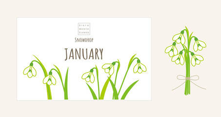 誕生月の花のイラスト｜1月の誕生花、スノードロップ - obrazy, fototapety, plakaty