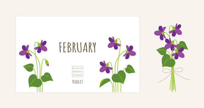 誕生月の花のイラスト｜2月の誕生花、スミレ