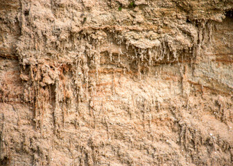 abstract sandstone wall texture, sand, moss and lichen patterns on the wall, suitable for background
