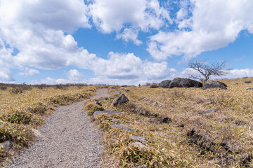 空まで続くような道　霧ヶ峰トレッキング