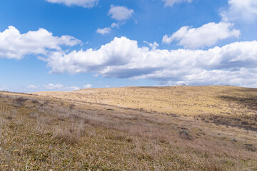 気持ちのいい五月の霧ヶ峰