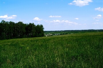 summer landscape on a clear summer day