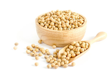 Dry organic soybean seeds in wooden bowl and spoon on white background